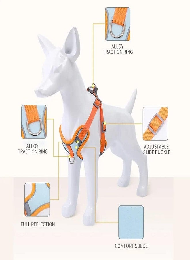 Pekos Cat Harness with Leash | Outdoor Anti-Breakaway Leash for Cats with Safety Reflective Strips | Harness for Adjustable 1.5m Belt for Cat for Small Size Cats (1 Psc_Multicolor) - Image 5